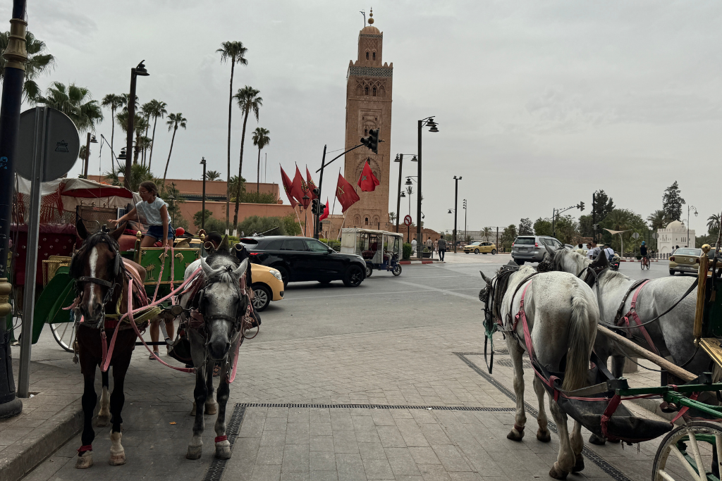 Casablanca to Marrakech private transfer in Morocco
