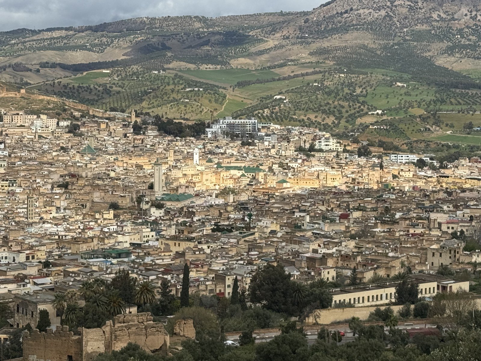 Panoramic view of Fes Medina with green hills and mountains in the background