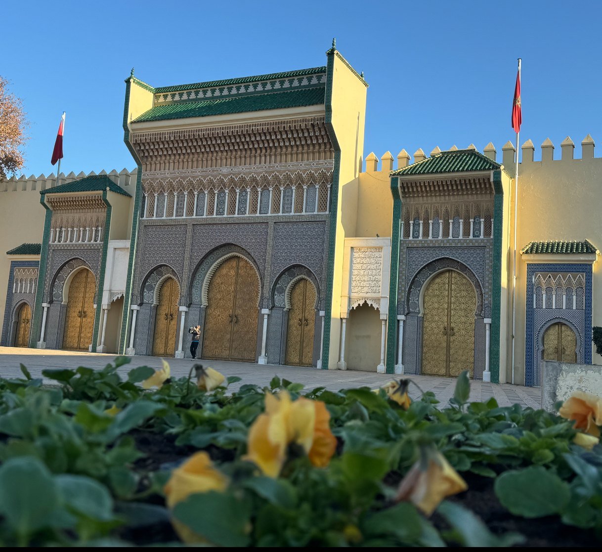 Ornate Royal Palace gates and mosaic facade in Fes